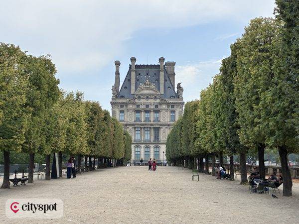 A tree-lined alley of the Jardin des Tuileries with the Louvre in the background